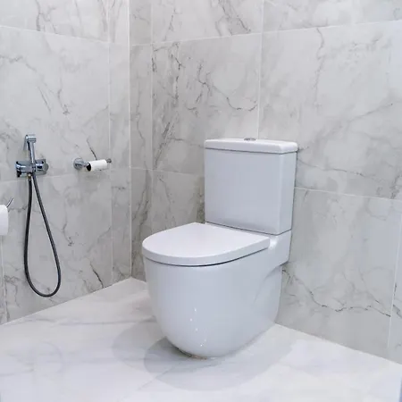 Flore Penthouse 公寓 *