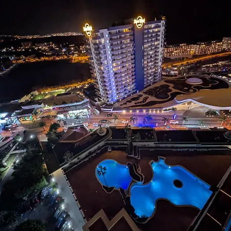 Flore Penthouse 公寓 帕莱索海滩